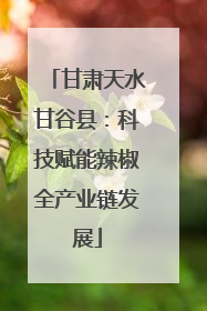甘肃天水甘谷县：科技赋能辣椒全产业链发展