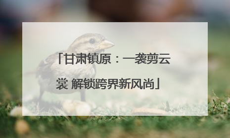 甘肃镇原：一袭剪云裳 解锁跨界新风尚
