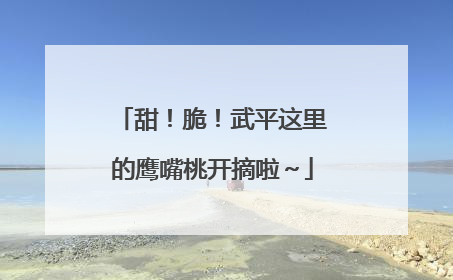 甜！脆！武平这里的鹰嘴桃开摘啦～