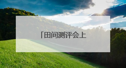 田间测评会上选优种学农技
