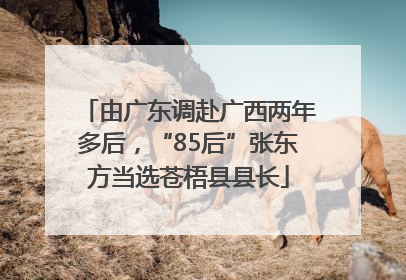 由广东调赴广西两年多后，“85后”张东方当选苍梧县县长