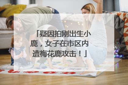 疑因拍刚出生小鹿，女子在市区内遭梅花鹿攻击！