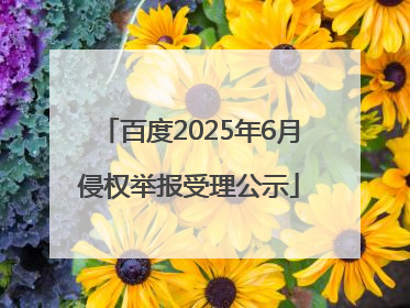 百度2025年6月侵权举报受理公示