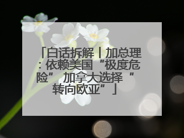 白话拆解丨加总理：依赖美国“极度危险” 加拿大选择“转向欧亚”