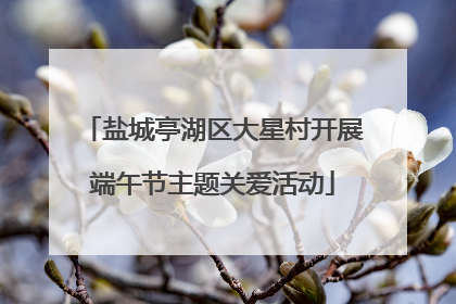 盐城亭湖区大星村开展端午节主题关爱活动