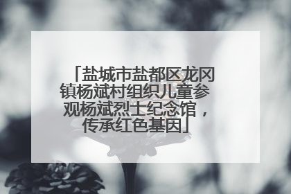 盐城市盐都区龙冈镇杨斌村组织儿童参观杨斌烈士纪念馆，传承红色基因