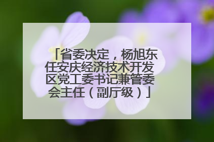 省委决定，杨旭东任安庆经济技术开发区党工委书记兼管委会主任（副厅级）