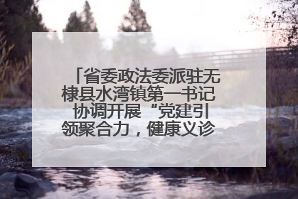 省委政法委派驻无棣县水湾镇第一书记 协调开展“党建引领聚合力，健康义诊惠乡亲”义诊活动