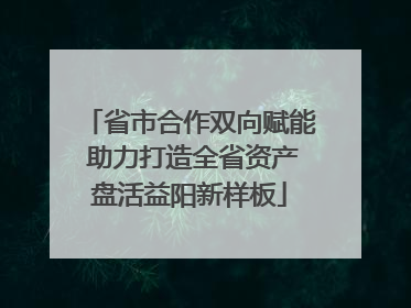 省市合作双向赋能 助力打造全省资产盘活益阳新样板