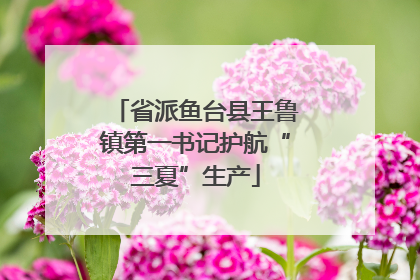 省派鱼台县王鲁镇第一书记护航“三夏”生产