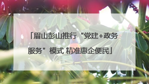 眉山彭山推行“党建+政务服务”模式 精准惠企便民