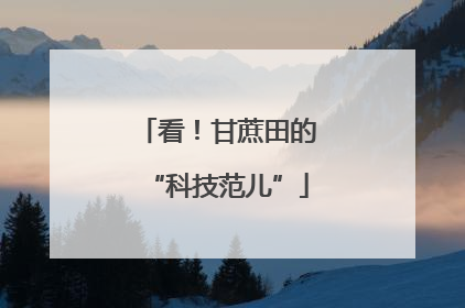 看！甘蔗田的“科技范儿”