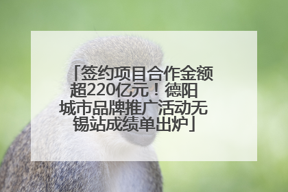 签约项目合作金额超220亿元！德阳城市品牌推广活动无锡站成绩单出炉