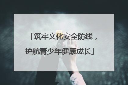 筑牢文化安全防线，护航青少年健康成长