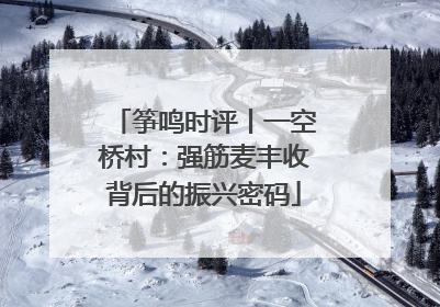 筝鸣时评丨一空桥村：强筋麦丰收背后的振兴密码