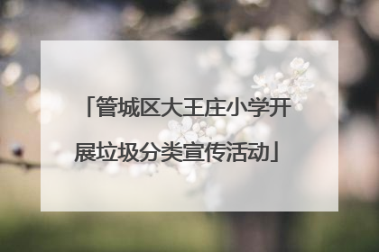 管城区大王庄小学开展垃圾分类宣传活动