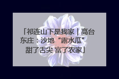 祁连山下是我家｜高台东庄：沙地“露水瓜” 甜了舌尖 富了农家