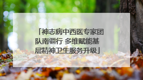 神志病中西医专家团队南疆行 多维赋能基层精神卫生服务升级