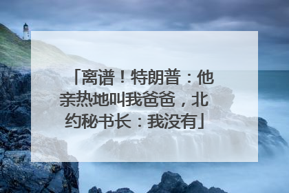 离谱！特朗普：他亲热地叫我爸爸，北约秘书长：我没有