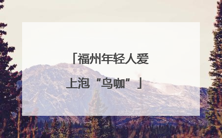福州年轻人爱上泡“鸟咖”