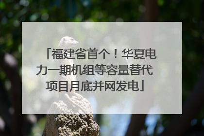 福建省首个！华夏电力一期机组等容量替代项目月底并网发电