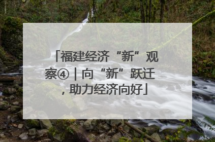 福建经济“新”观察④｜向“新”跃迁，助力经济向好