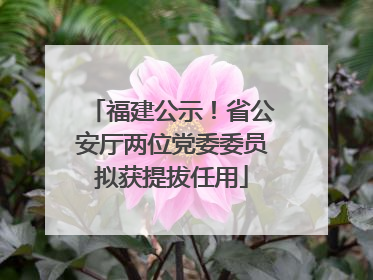 福建公示！省公安厅两位党委委员拟获提拔任用
