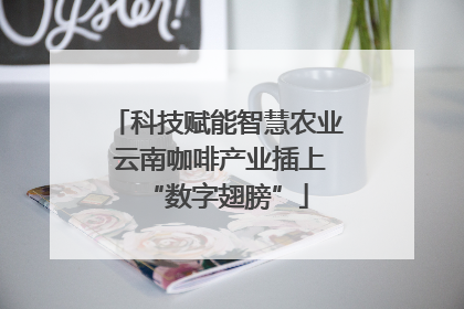 科技赋能智慧农业 云南咖啡产业插上“数字翅膀”