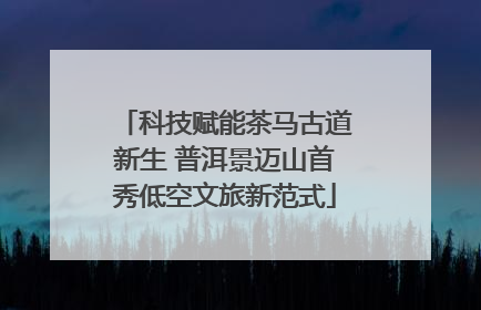 科技赋能茶马古道新生 普洱景迈山首秀低空文旅新范式