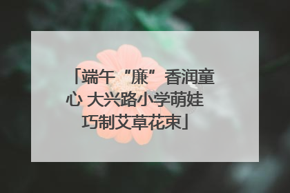 端午“廉”香润童心 大兴路小学萌娃巧制艾草花束