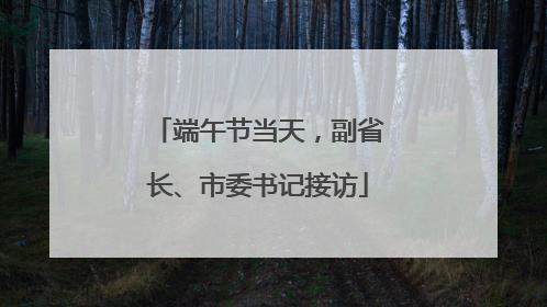 端午节当天，副省长、市委书记接访