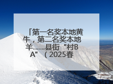 第一名奖本地黄牛，第二名奖本地羊……县街“村BA”（2025春季赛）圆满完赛