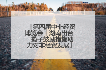 第四届中非经贸博览会丨湖南出台一揽子鼓励措施助力对非经贸发展