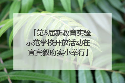 第5届新教育实验示范学校开放活动在宜宾叙府实小举行