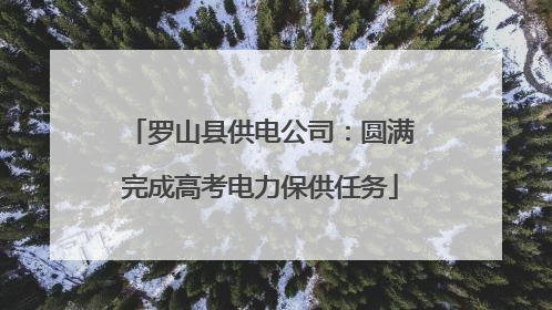 罗山县供电公司：圆满完成高考电力保供任务