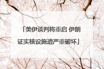 美伊谈判将重启 伊朗证实核设施遭严重破坏