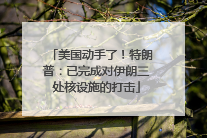 美国动手了！特朗普：已完成对伊朗三处核设施的打击
