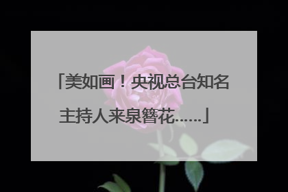 美如画！央视总台知名主持人来泉簪花……