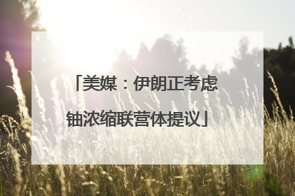 美媒：伊朗正考虑铀浓缩联营体提议