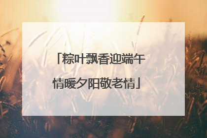 粽叶飘香迎端午 情暖夕阳敬老情