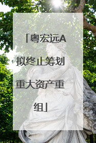 粤宏远A拟终止筹划重大资产重组