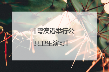 粤澳港举行公共卫生演习