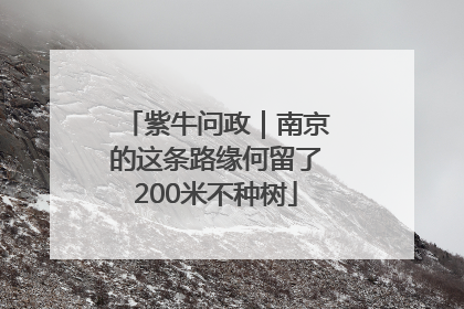 紫牛问政｜南京的这条路缘何留了200米不种树