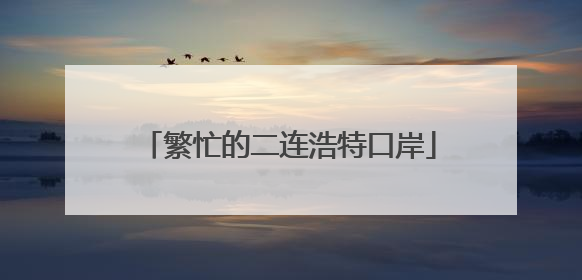 繁忙的二连浩特口岸