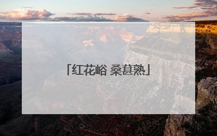 红花峪 桑葚熟