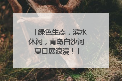 绿色生态，滨水休闲，青岛白沙河夏日展浪漫！