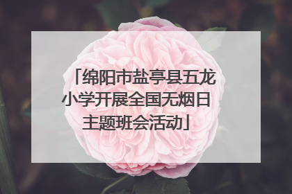 绵阳市盐亭县五龙小学开展全国无烟日主题班会活动