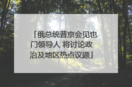 俄总统普京会见也门领导人 将讨论政治及地区热点议题