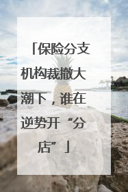 保险分支机构裁撤大潮下，谁在逆势开“分店”