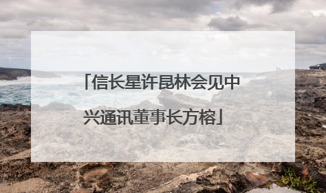 信长星许昆林会见中兴通讯董事长方榕